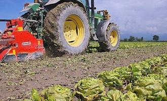 Agricultural diesel skyrockets, the Iblean agriculture (and beyond) risks default