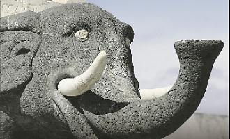 "Catania, capital of culture": tomorrow the city plays for its future