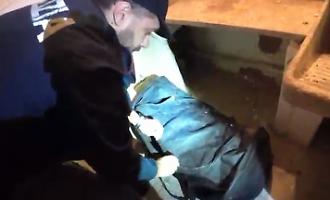 8.4 kg of marijuana discovered in a warehouse on via Petriera: a 19-year-old woman from Milan reported.