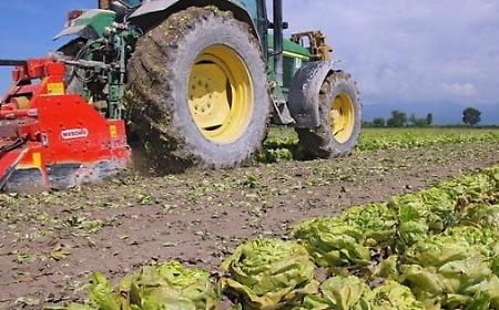 Agricultural diesel skyrockets, the Iblean agriculture (and beyond) risks default