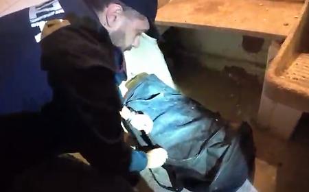 8.4 kg of marijuana discovered in a warehouse on via Petriera: a 19-year-old woman from Milan reported.