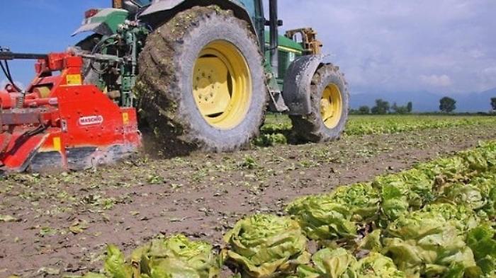 1576071155375_1619266736705-1