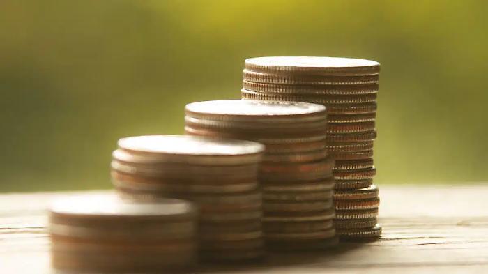 Sicilian families and new credit needs: between planning and sustainability of installments