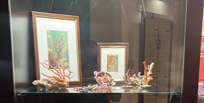 The Red Gold of Sciacca enchants the Valley of the Temples: the exhibition at the Griffo Museum continues throughout spring