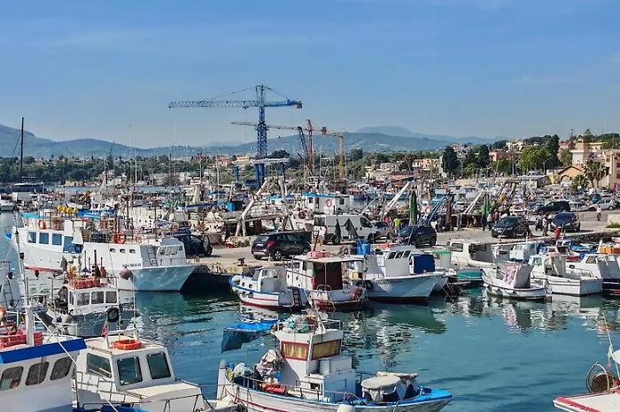 Diesel prices skyrocket: fishing risks collapse with fish price increases of up to 30%