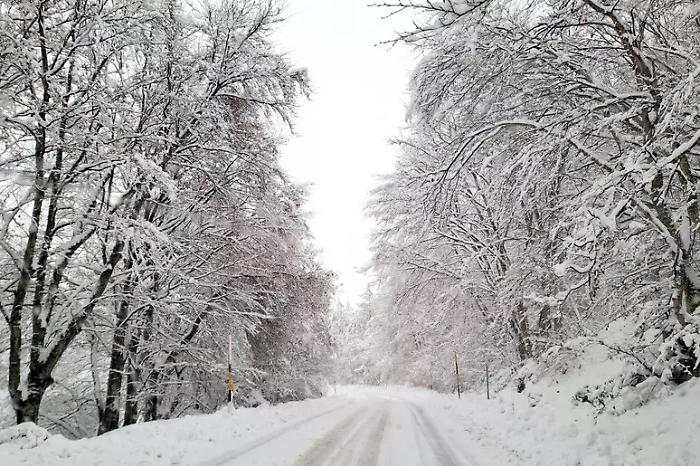 Winter is struggling to leave: a disturbance is coming from the northeast with heavy rain and snow in the high hills.