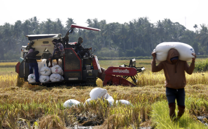 The invisible grains of the crisis: how the war in Iran can shake the world's food supply