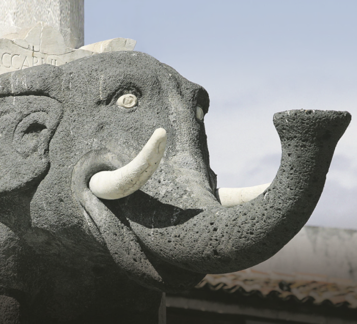 Catania, the capital of missed culture, between disappointment and the desire to relaunch. Trantino: "We will implement the projects"