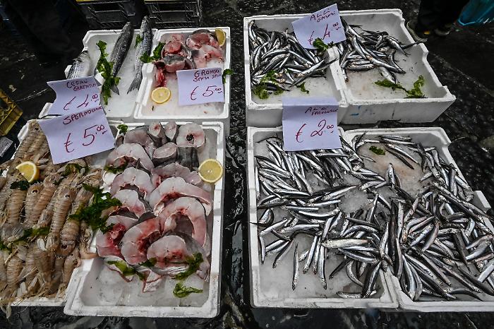 Hepatitis A in Naples, three new cases at Cotugno: 53 patients hospitalized