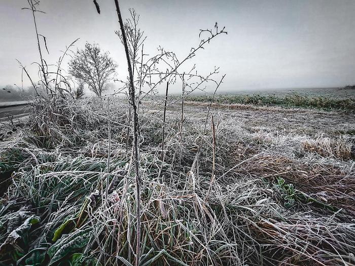 Thermal overturn in Italy, Arctic cold arrives (even in the south): forecasts for the coming days