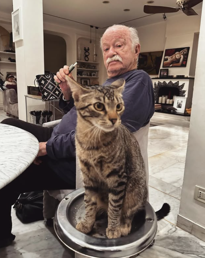 Gino Paoli and cats: life companions, alter egos, and a manifesto of freedom