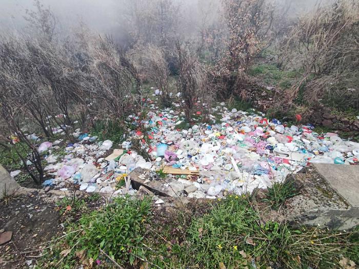 DOC wine and 'shameful' waste: the devastation of Vigne district